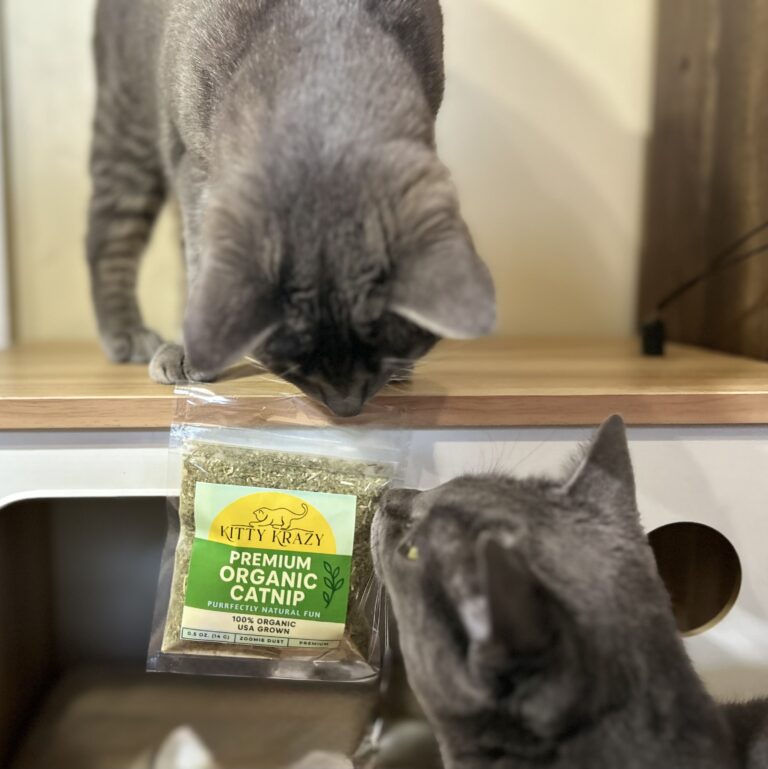 Two Krazy Cats