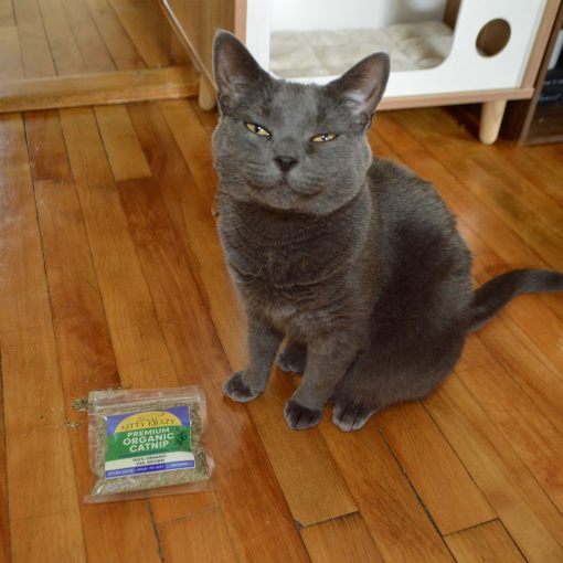 Krazy to Lazy Catnip Blend - Image 5