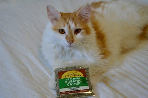 Original Catnip - Image 5